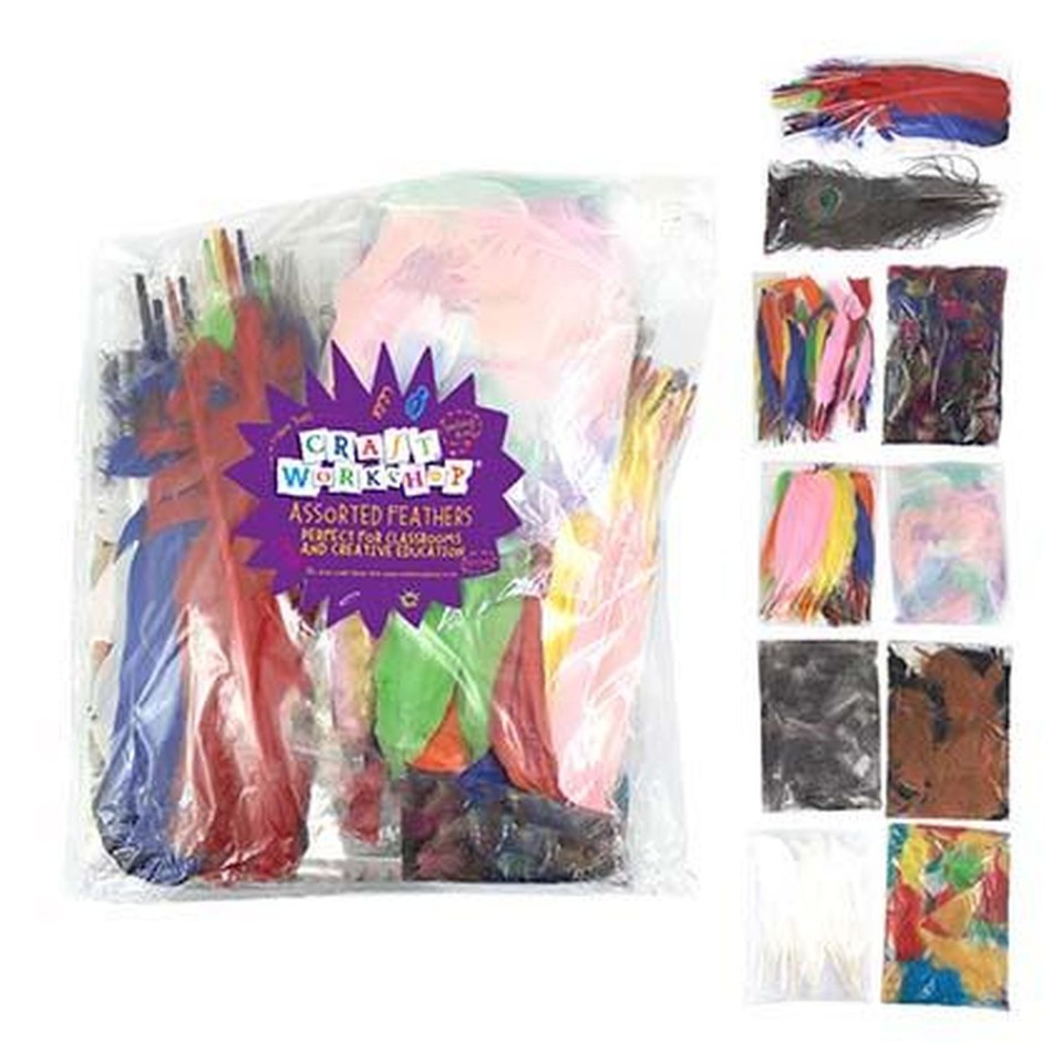 Craft Workshop Feathers Assorted Colours And Styles Pack 86