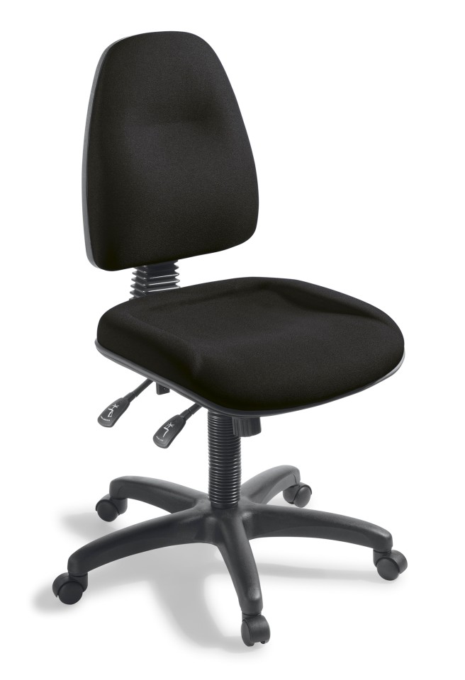 Eden Spectrum 2 Long/Wide Heavy Duty Chair Black