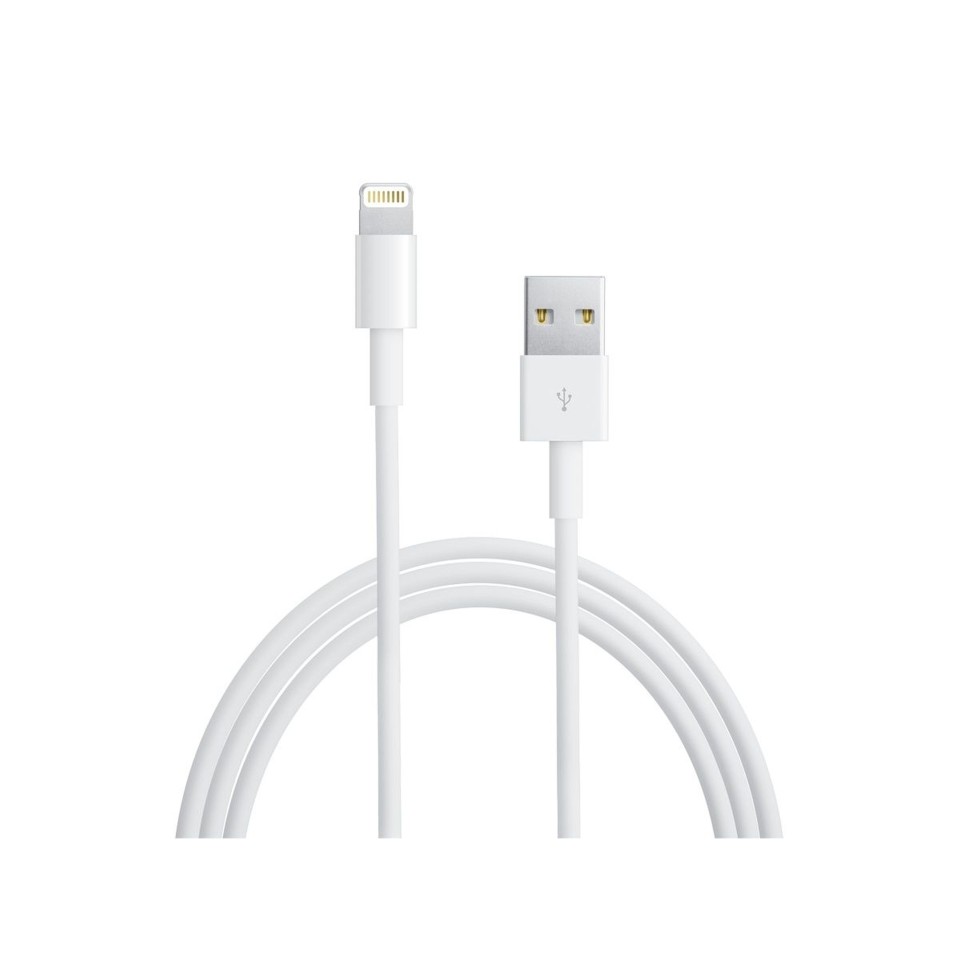 Apple Lightning Cable 1m