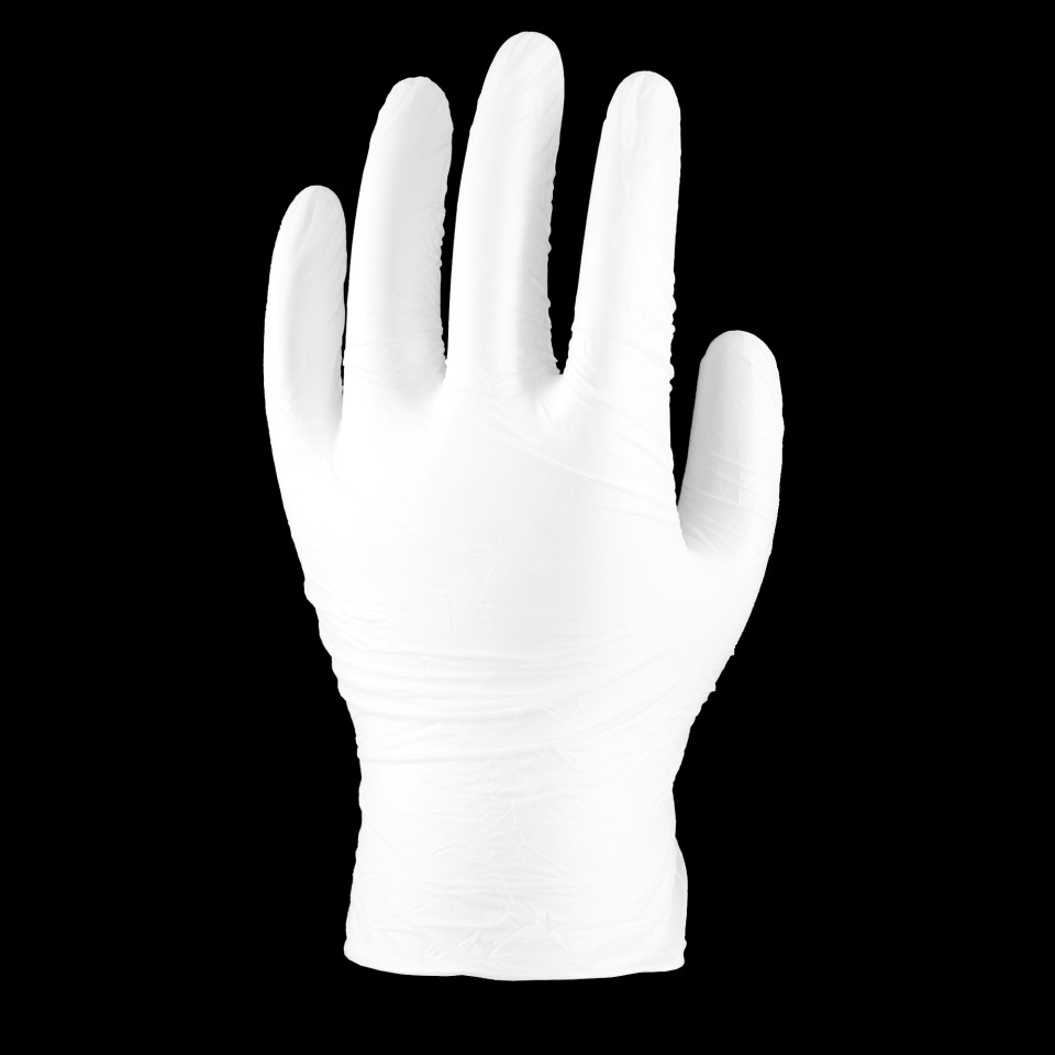 Lynn River Powder Free Vinyl Clear Gloves Medium