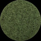 Glomesh Regular Floor Pad 16inch / 400mm Green image