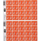Filecorp C-Ezi Lateral File Labels Alpha Letter J 24mm Sheet 40 image