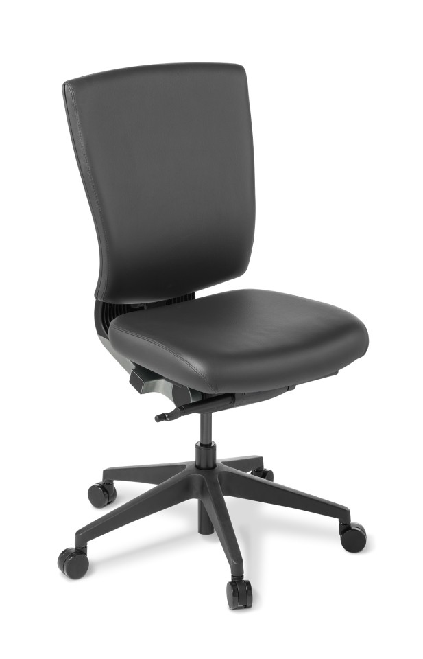 Cloud Ergo Chair Nylon Base Black Leather
