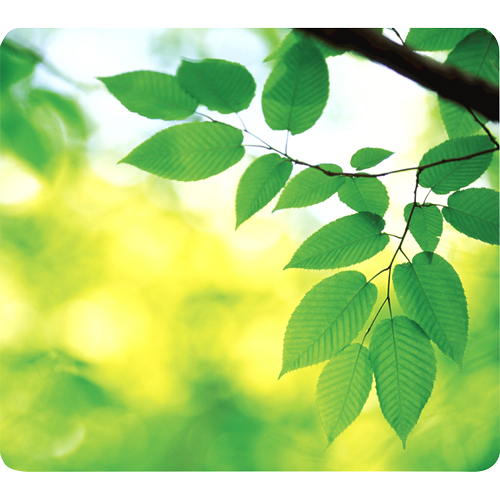 Fellowes recycled Mouse Pad Green Leaves