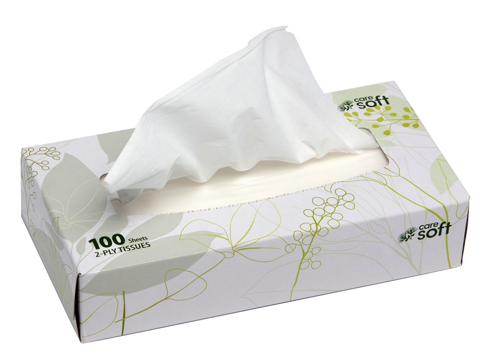 Care Soft Facial Tissue 2ply 100 sheet box