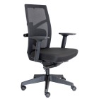 Seaquest Tune Ergonomic Task Chair With Arms Black image