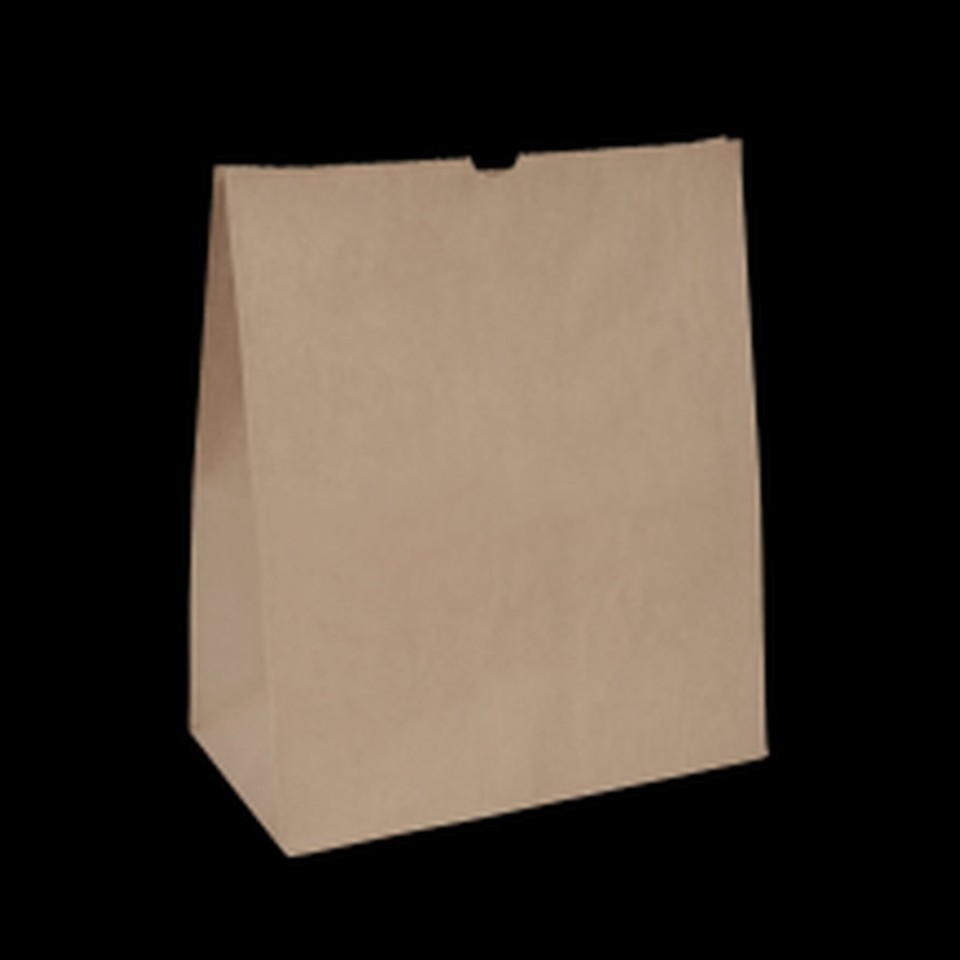 Green Choice #19 Paper Bags 280x150x325mm Brown Pack 250