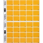 Filecorp C-Ezi Colour Flash Lateral Labels Colour Yellow 24mm Sheet 40 image