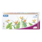 Milan Coloured Pencils Jumbo Assorted Colours Pack 48 image