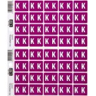 Filecorp C-Ezi Lateral File Labels Alpha Letter K 24mm Sheet 40 image