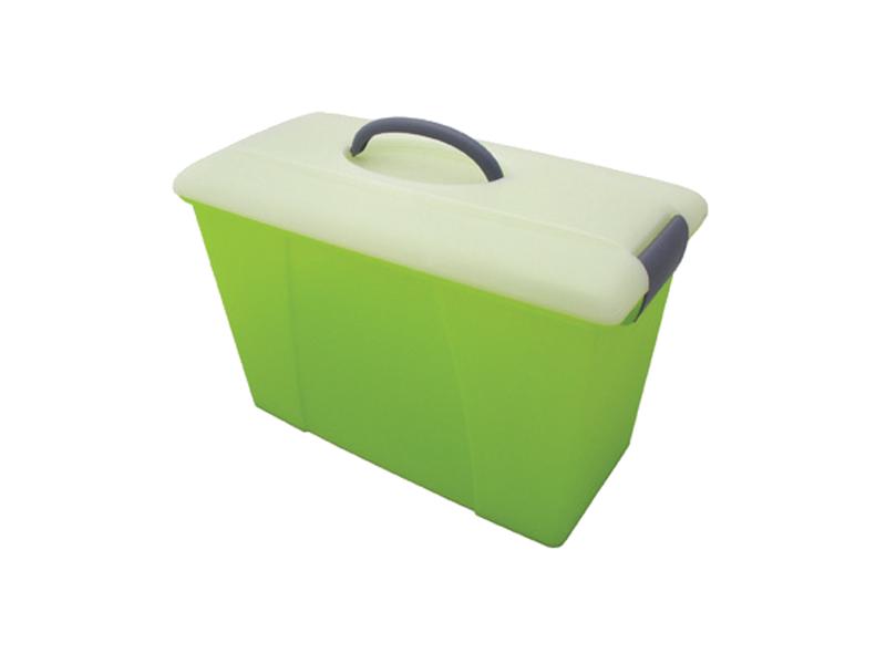 Marbig Carry Case Summer Colours Lime Case With Clear Lid