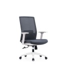 Cloud 2.0 Task Chair 2 Lever w/ Arms High Back Black Mesh / White Base image