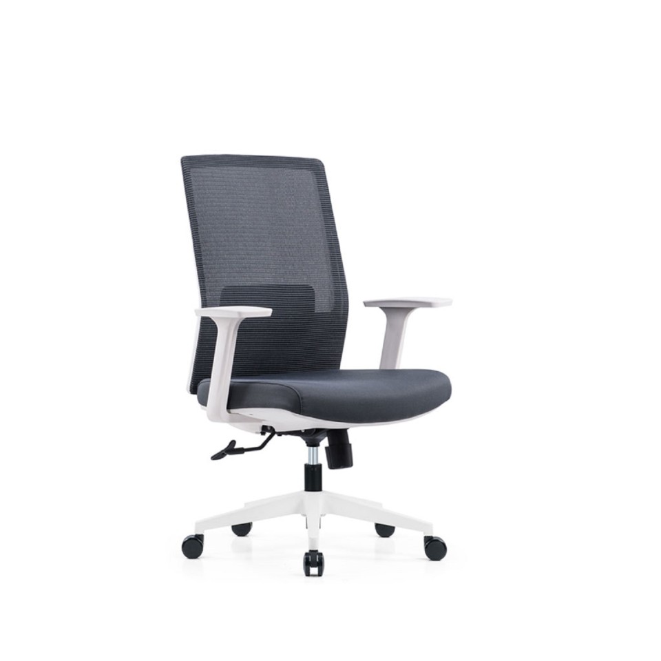 Cloud 2.0 Task Chair Mesh 2 Lever with arms High Back Black / White