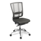 Eden Cloud Ergo With Polished Base Chair image