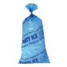 Party Ice Bags 250 x 500mm 70mu Blue Pack 50 image