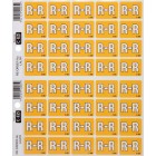 Filecorp C-Ezi Alpha Lateral Labels Letter R 24mm Sheet 40 image