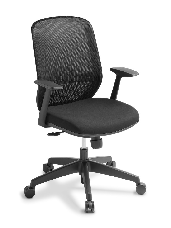 Eden Sprint Mesh Back Task Chair With Arms