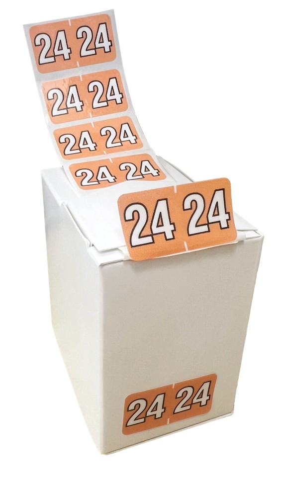 Filecorp C-ezi Numeric Labels Year 2024 16 X 28mm Box 100