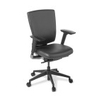Cloud Ergo Chair w/ Arms Nylon Base Black Leather image