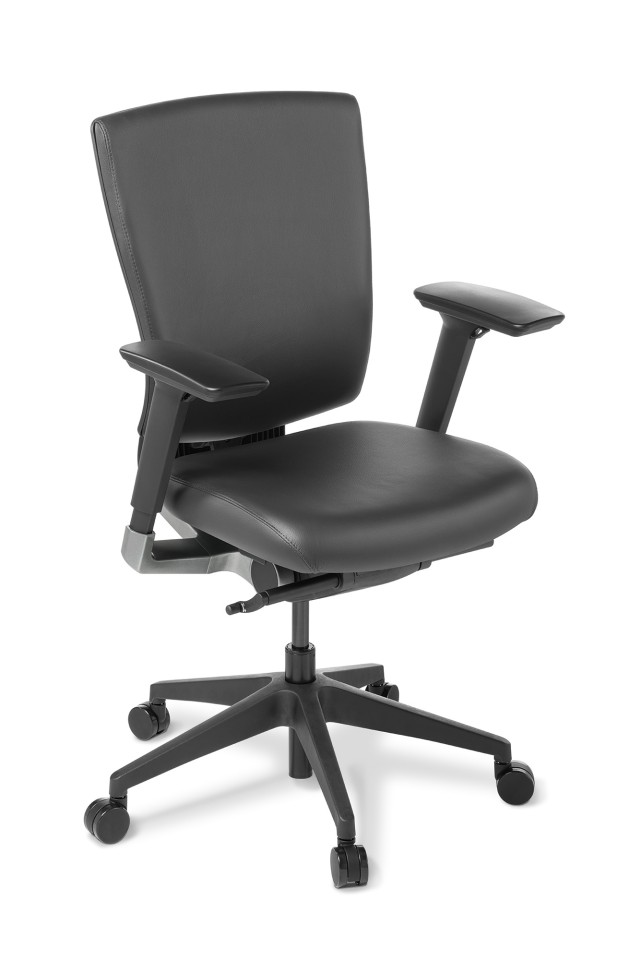 Cloud Ergo Chair w/ Arms Nylon Base Black Leather