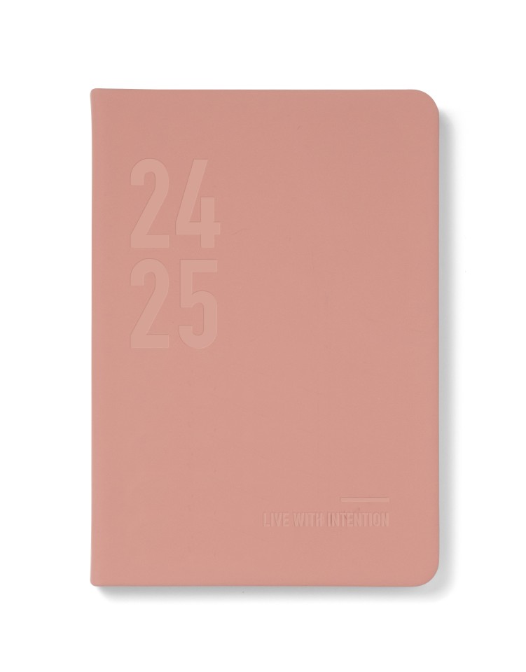 Letts Conscious 2024-2025 Diary A5 Day To Page Clay