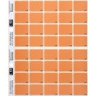 Filecorp C-Ezi Colour Flash Lateral Labels Colour Light Brown 24mm Sheet 40 image