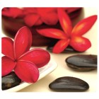 Fellowes Recycled Mouse Pad Red Spa Flowers image