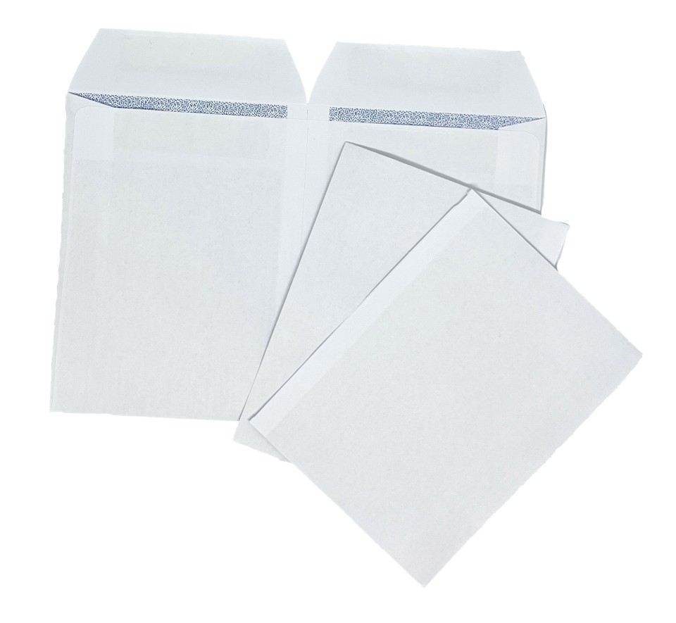 Candida Wage Envelope Self Seal Twin Pocket E4 and E3 120mm x 90mm White Box 500
