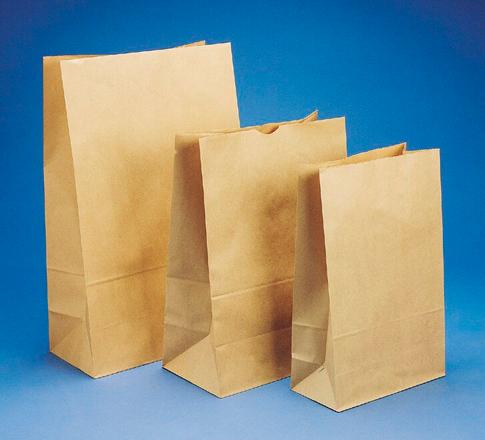 Detpak #6 Block Bottom Paper Bag 255x140x470mm Carton 200