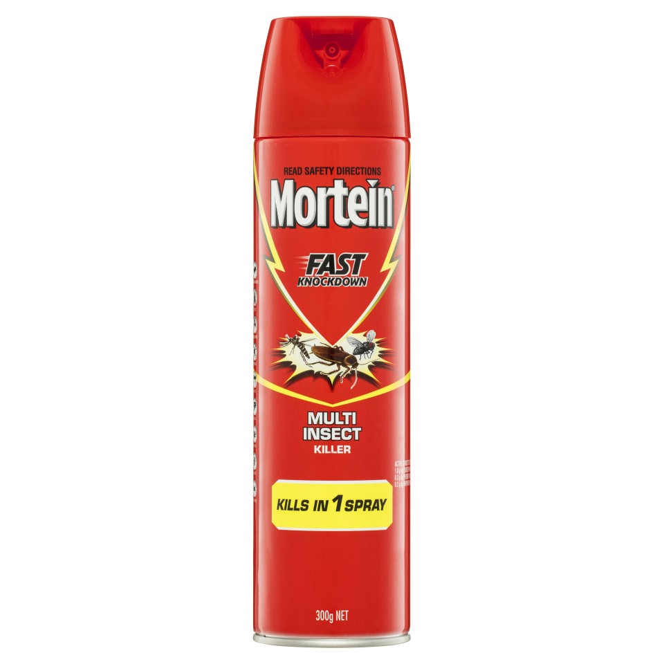 Mortein Fast Knockdown Fly & Insect Spray 300g
