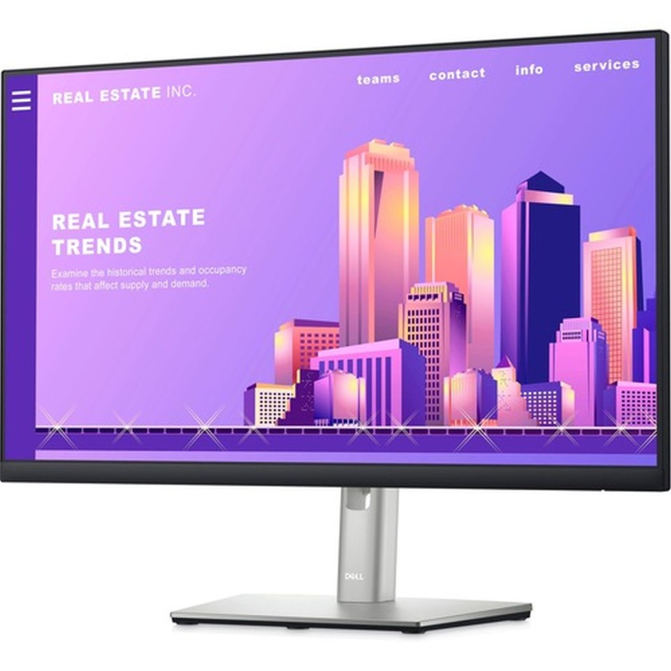 Dell P2422H Monitor IPS 23.8 Inch