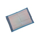Reynard Disposable Underlays 5 ply 600x900mm Pack of 25 image