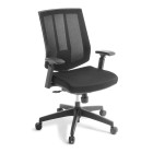 Eden Rally Chair With Arms Black image