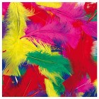 Feathers Assorted Colours Pack 45 image