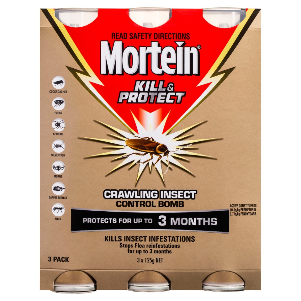 Mortein Kill and Protect Crawling Insect Control Bomb 125g Pack of 3