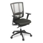 Eden Cloud Ergo With Arms Chair image