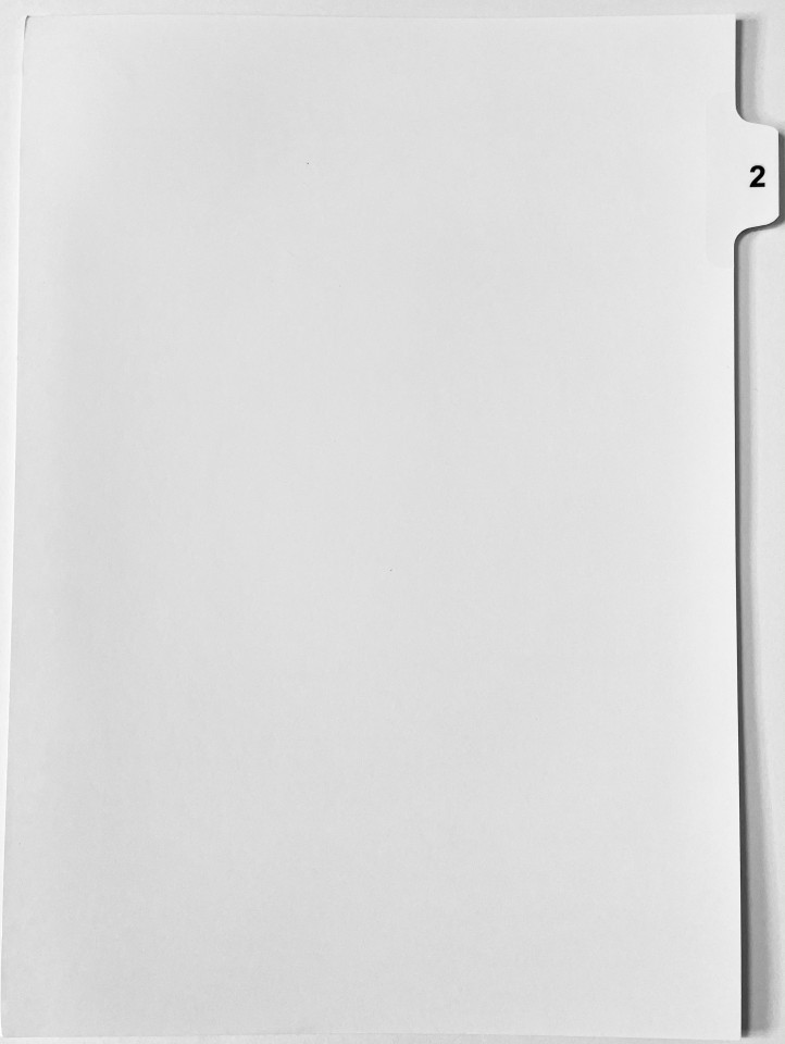 A4 Tab Dividers Printed Tab #2 of 10 White 100 Sets
