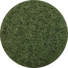 Glomesh Pad Regular 9 Inch / 225mm Green image